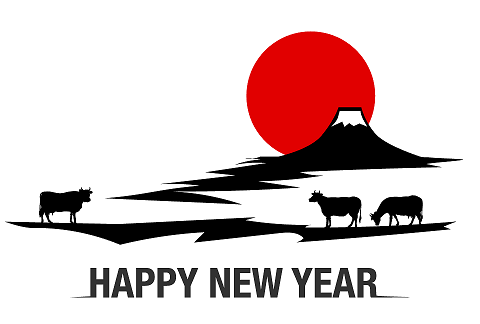 2021_happy_new_year